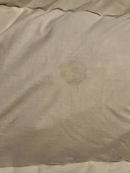 Photo of free Single duvet x2 (Old Town SG1) #1