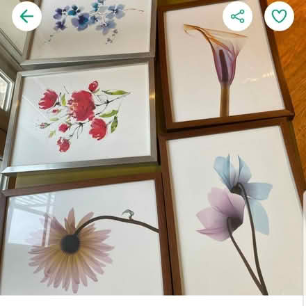 Photo of free 5 pictures (Flatbush & Church, Brooklyn) #1