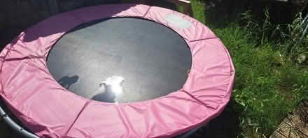 Photo of free 6 Foot Trampoline (Maltby S66) #1