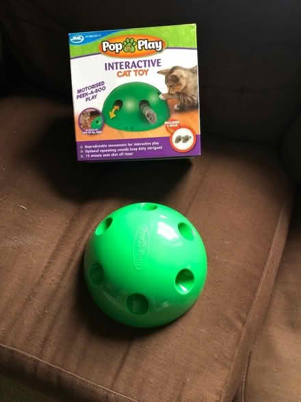 Photo of free Cat toy (Paulton) #1