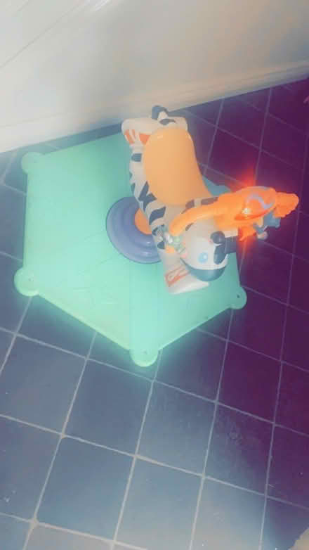 Photo of free Zebra bounce and spin (Newcastle under lyme) #2