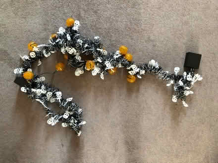 Photo of free Halloween decorations (Clissold N5) #2