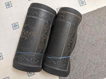 Photo of free Floor mats (South Livermore) #1