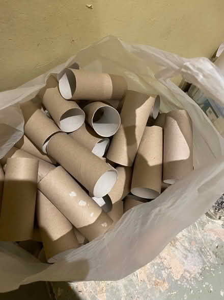 Photo of free big bag of toilet tissue rolls (guildford GU1) #1