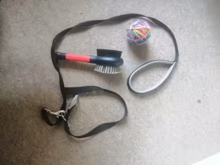 Photo of free Pet items (Monimail KY15) #1