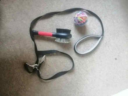 Photo of free Pet items (Monimail KY15) #1