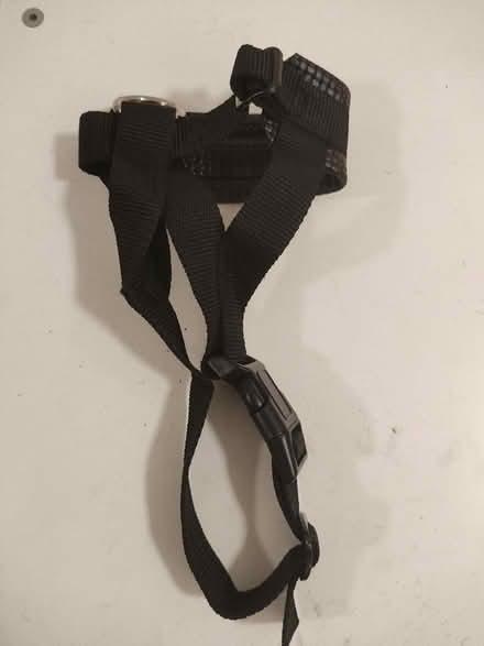 Photo of free Dog Muzzle (Stratford) #1