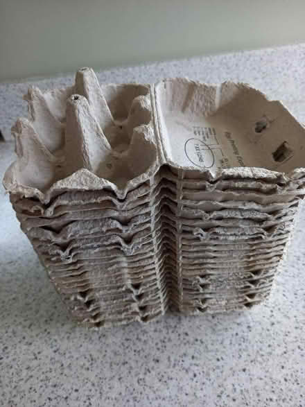 Photo of free egg boxes (Crosspool S10) #1
