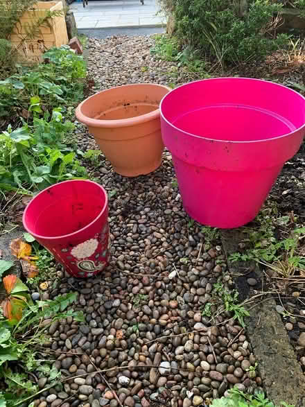 Photo of free 3 x containers for plants (LA1 Bowerham) #1