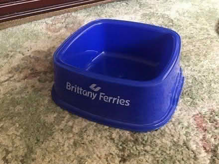 Photo of free Dog bowl (TQ12 kingskerswell) #1