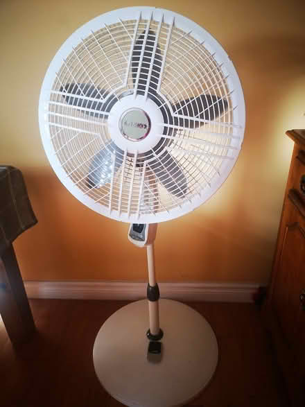 Photo of free Oscillating pedestal fan (K2K2N7) #1
