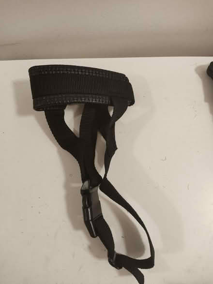 Photo of free Dog Muzzle (Stratford) #2