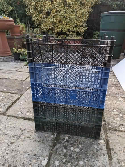 Photo of free Plastic storage baskets (Wellingborough NN8) #1