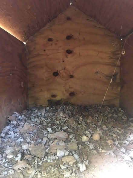 Photo of free Dog House - Large (Woodstock, GA) #4