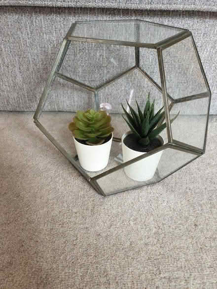 Photo of free ITEM PROMISED Glass terrarium (Oughtibridge S35) #1
