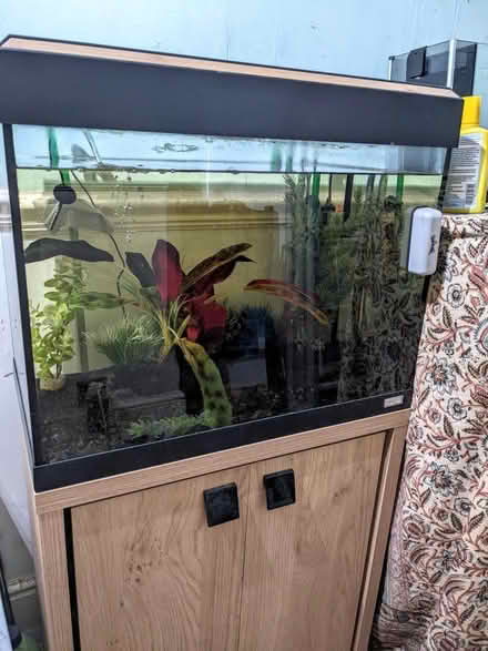 Photo of free Fluval Roma 90L empty Freshwater tank and stand (Denny Bottom TN4) #1