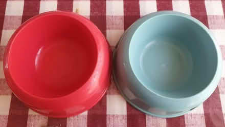 Photo of free 2 x cat bowls (St Helens TN35) #1