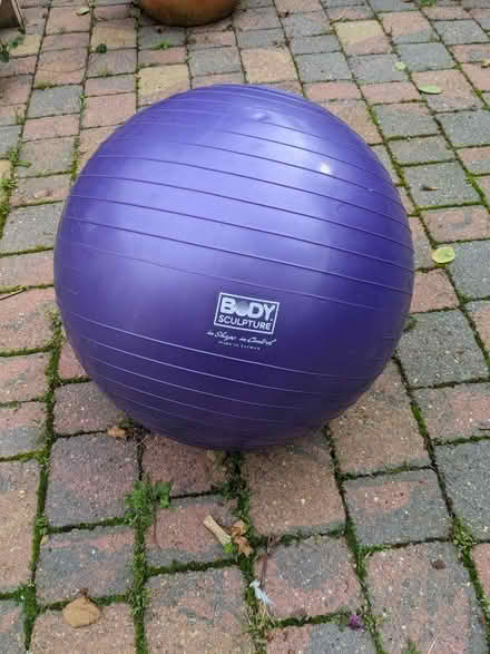 Photo of free Inflatable Exercise/Balance Ball (Wormingford CO6) #1