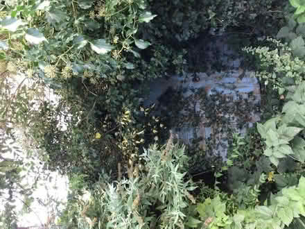 Photo of free Large garden shed (Cranwell) #2