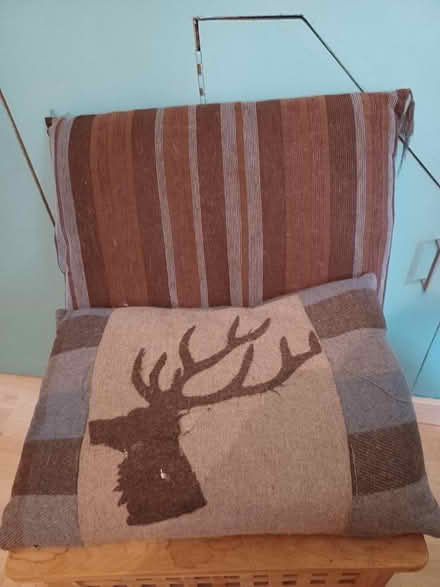 Photo of free 2 rectangular cushions- Gillingham, Livingstone Circus (Gillingham ME7) #1