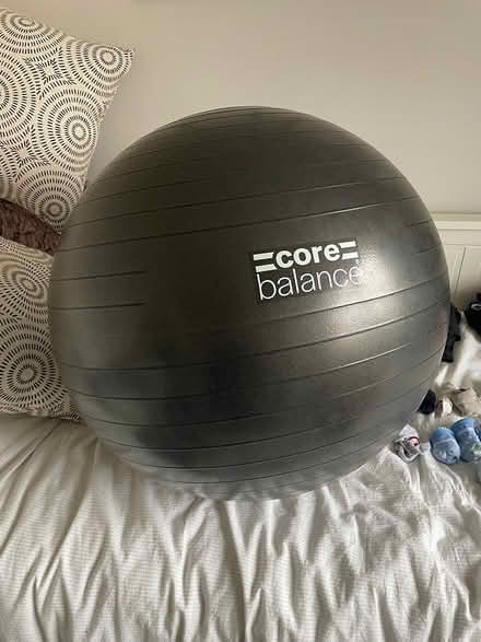 Photo of free Exercise Ball & pump (OX4) #1