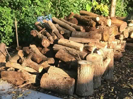 Photo of free Firewood (Ann Arbor-Wagner/Scio Church) #1