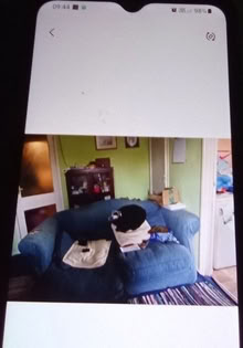 Photo of free blue sofa (Gould's Ground BA11) #2