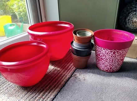 Photo of free Plastic plant pots (Higher Brixham TQ5) #1