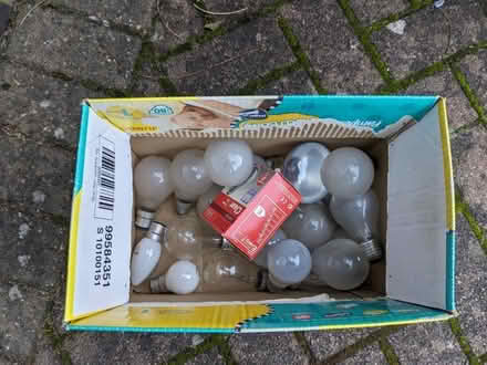 Photo of free Assorted incandescent light bulbs (Cannon Park CV4) #1