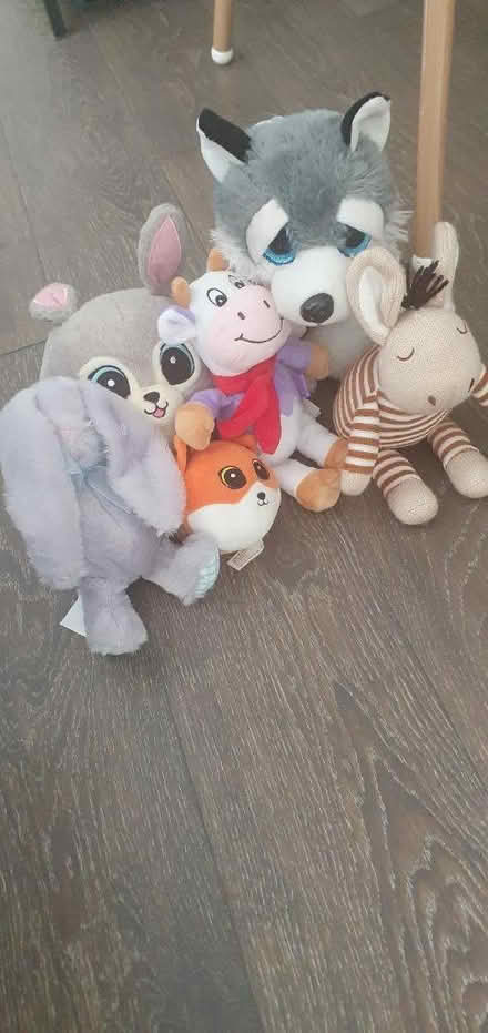 Photo of free 6 teddies (Wellingborough NN8) #1