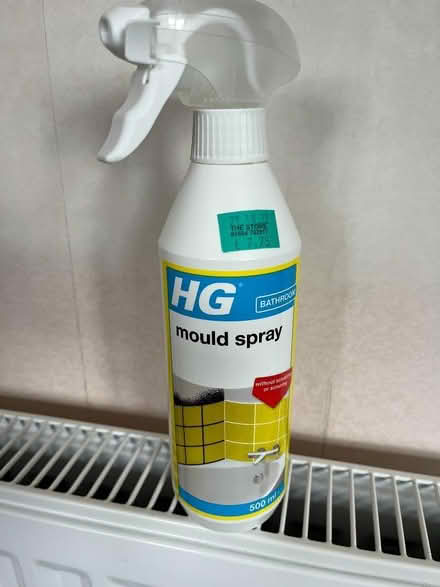Photo of free HG mould spray (Riverside B98) #1