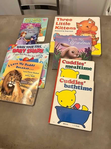 Photo of free Misc Children’s books and toys (North Westland) #1