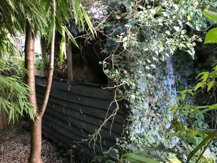 Photo of free Large garden shed (Cranwell) #1