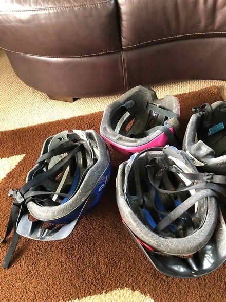 Photo of free Cycle Helmets (Chelston,Torquay) #2
