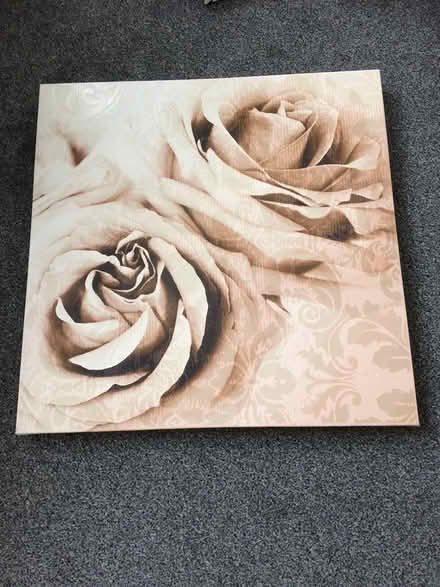 Photo of free Lovely rose canvas picture (Blackpool FY4) #1