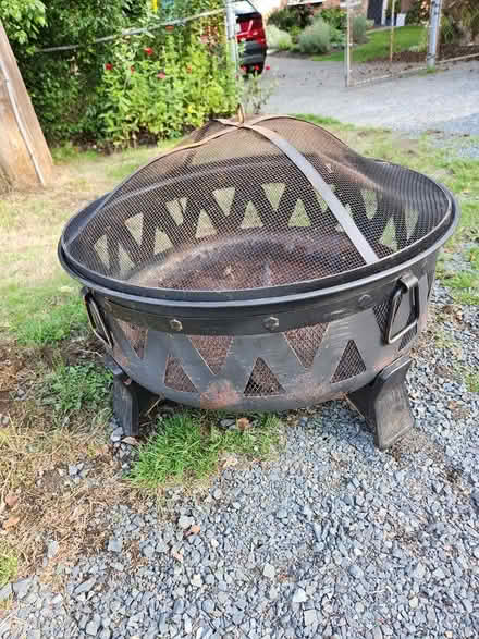 Photo of free Fireplace with cover (Lake City Way) #2
