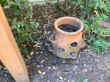 Photo of free Strawberry pots (Los altos near el camino) #2