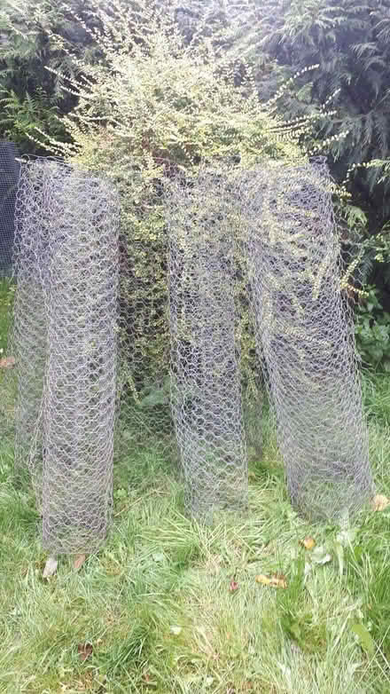 Photo of free Used chicken wire (Bryn Gates WN2) #2
