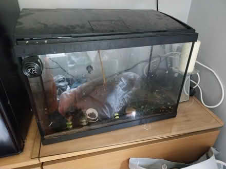 Photo of free Fish tank (Stevenage) #1