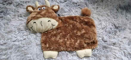 Photo of free Highland coo (Carfin ML1) #2