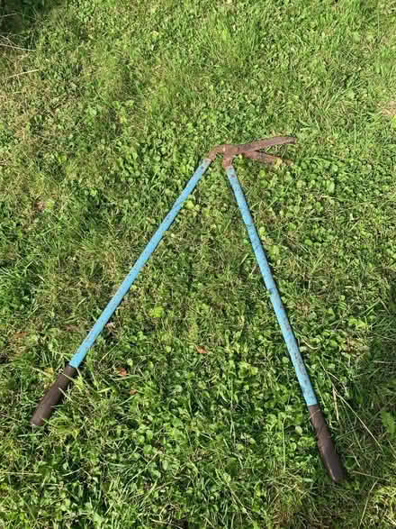 Photo of free Rusty garden loppers (Wytham OX2) #1