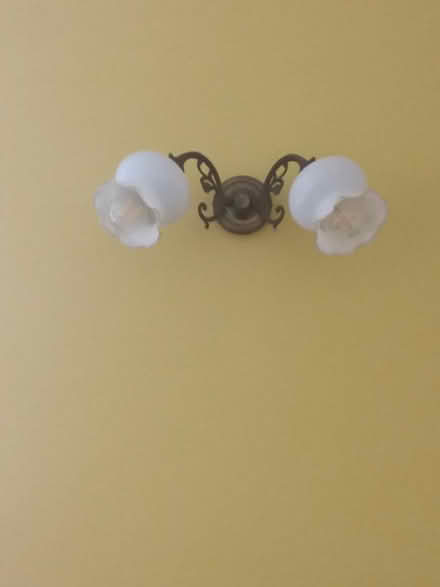 Photo of free Wall lights (Beauchief, S8) #1