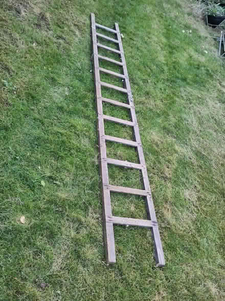 Photo of free 3m ladder (Caversham Heights RG4) #1