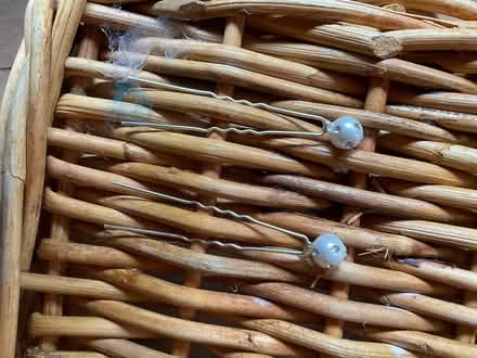 Photo of free Hair Pins (Taunton TA2 Kingston St Mary) #2