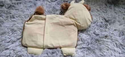 Photo of free Highland coo (Carfin ML1) #1
