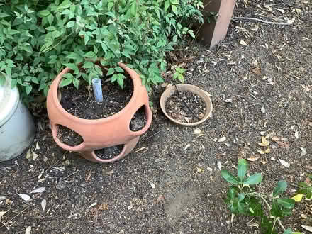 Photo of free Strawberry pots (Los altos near el camino) #1