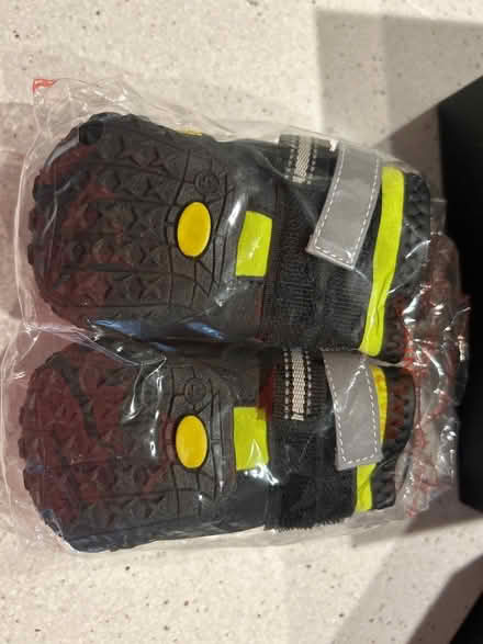 Photo of free Disposable Reusable Boots for Dogs (Bronx, New York) #2
