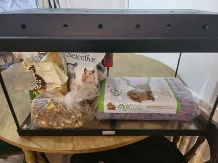 Photo of free Tank and hamster food &bedding (Bretch Hill OX16) #1