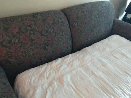 Photo of free Sofa bed (Mill Valley) #2