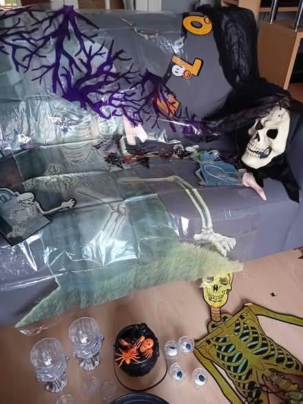 Photo of free Halloween box of decs and more (Hatfield Peverel CM3) #3